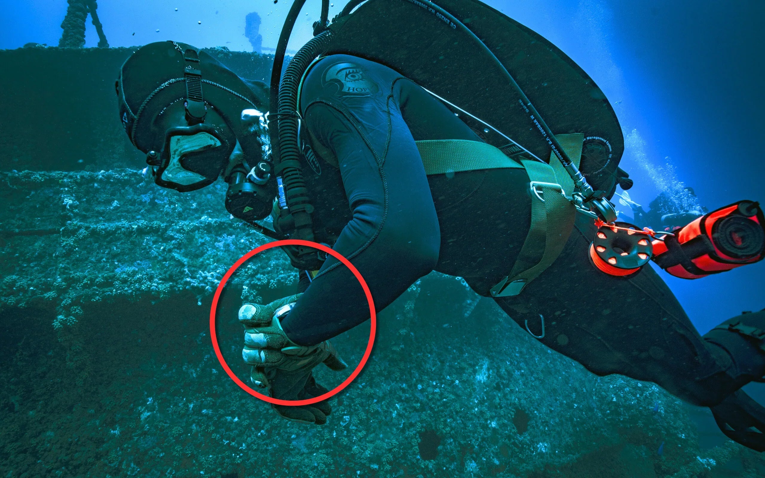 Best Dive Computers in 2026 – Complete Guide for Scuba Divers