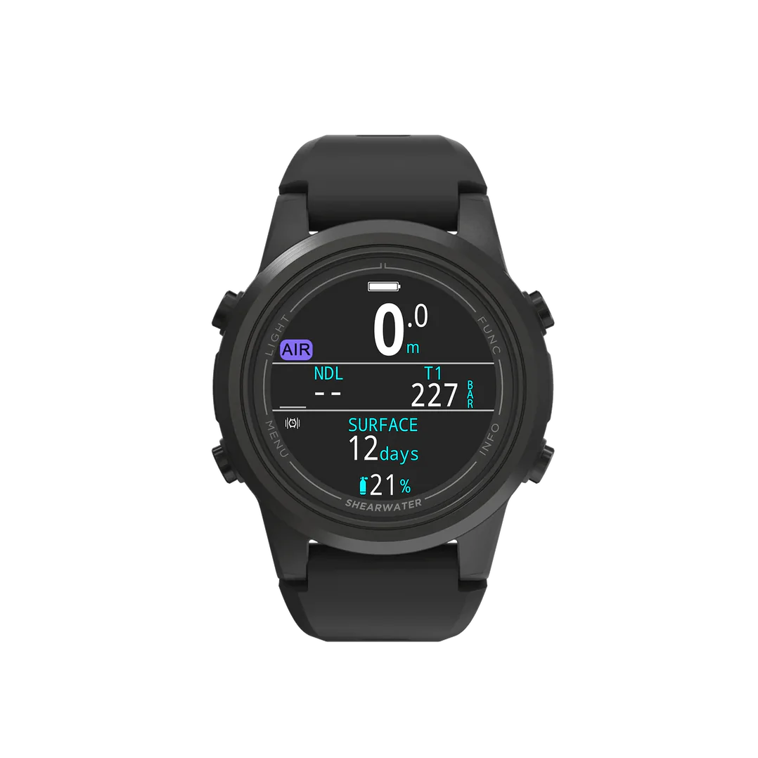 Shearwater Tern & Tern Tx