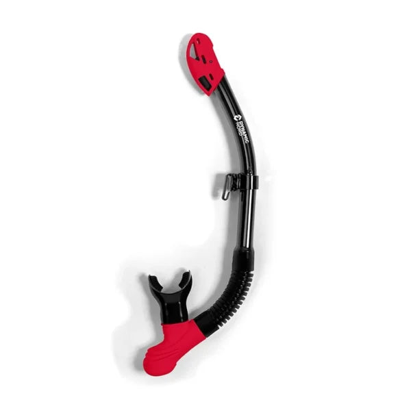 DYNAMIC NORD SNORKEL DRY TOP